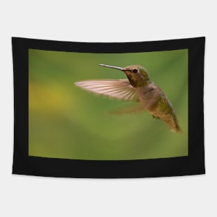 Hummingbird Tapestry