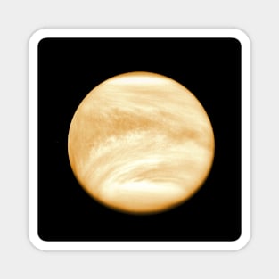 Venus Magnet