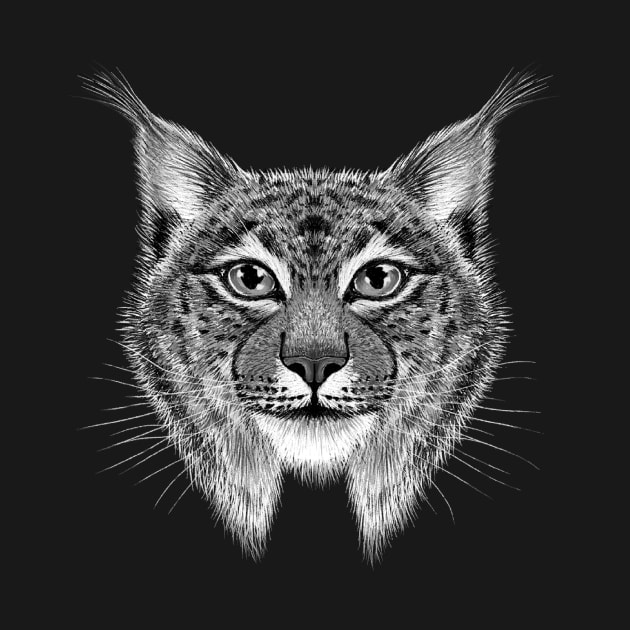 Lynx by Rohan Dahotre