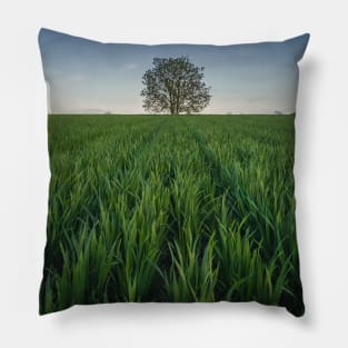 Solitary tree in the green field Pillow