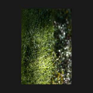 Glowing Green Grass After Rain Drops Fallen T-Shirt