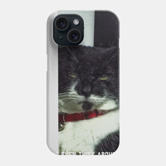 Guard cat on duty Phone Case by Photography_fan