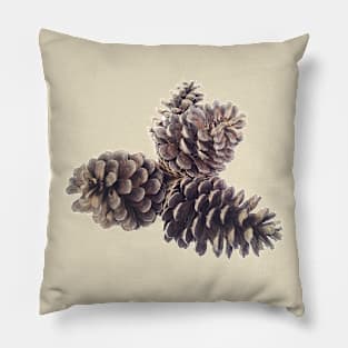 Pine Cones Pillow