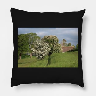 Chestnut and hawthorn Pillow