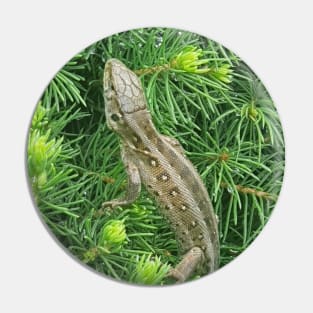 gray lizard on a green tree Pin