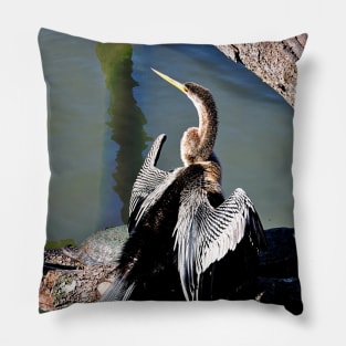 Anhinga Pillow