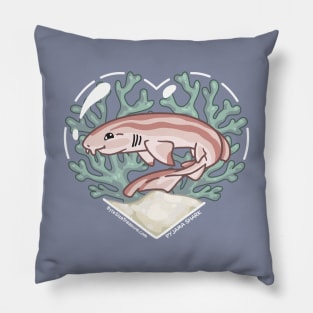 SAVOR, the Pyjama Shark Pillow