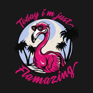 Today i´m just Flamazing T-Shirt