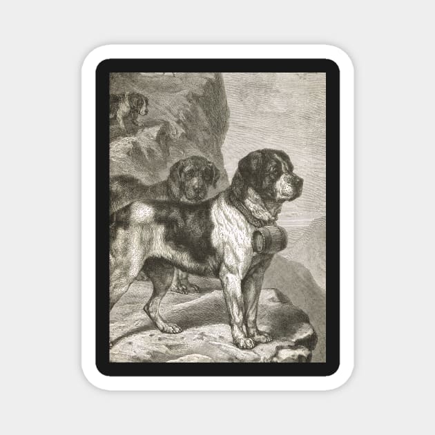 St Bernard Dogs with Brandy Barrels 1889 illustration Magnet by artfromthepast