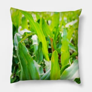 Green Grass Design Pillow