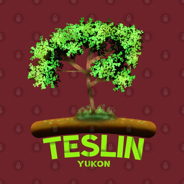 Teslin by MoMido