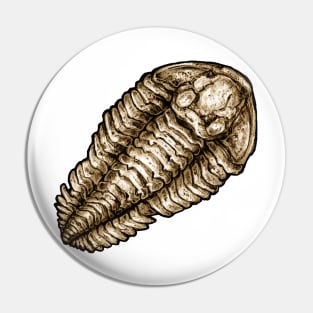 Calymene Trilobite Fossil Sticker Pin