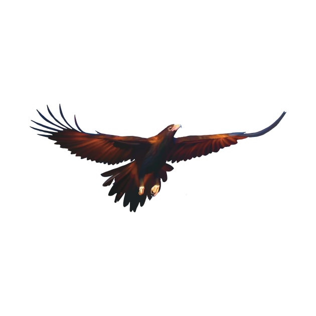 Wedge-tailed Eagle with full wingspan, Beautiful Australian raptor illustration. Bird lovers gift by PlumpPlumStudio