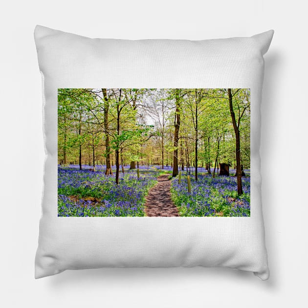 Bluebell Woods Greys Court England UK Pillow by AndyEvansPhotos