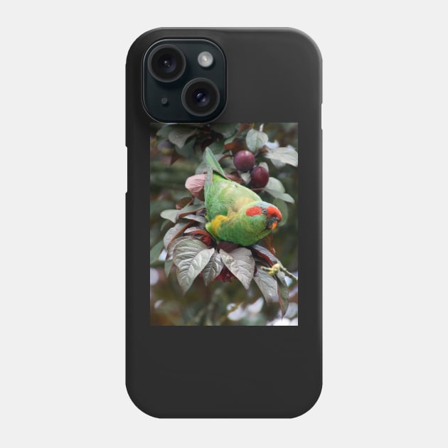 Musk Lorikeet Phone Case by MagpieSprings