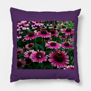 Summertime coneflower garden Pillow