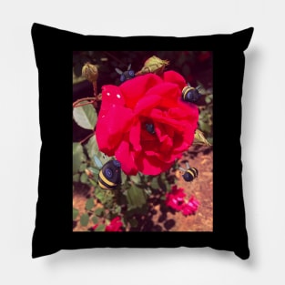 Real Plushies: Rose Bees Pillow