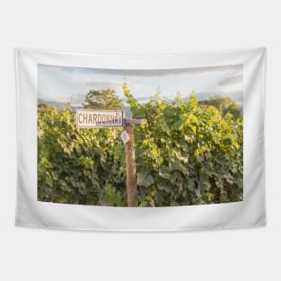 Chardonnay Signpost and Grapevines in Summer Tapestry