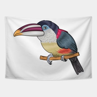 Curl crested aracari bird cartoon illustration Tapestry