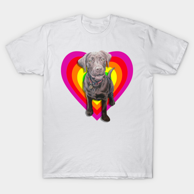 Gorgeous chocolate labrador in a rainbow digital heart! - Dog - T-Shirt