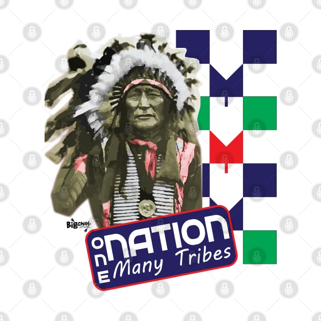 One Nation Many Tribes by BigChief