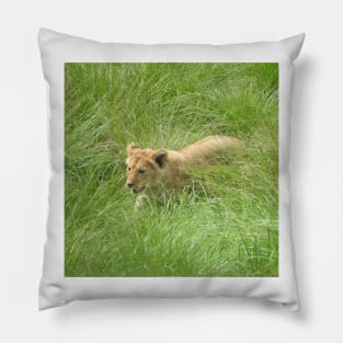 Lion Cub Pillow