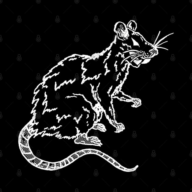 Undead Black Rat by NightmareCraftStudio