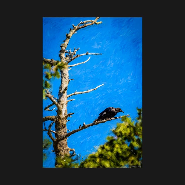 Crow in an Old Tree by kenmo