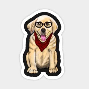 Dog wearing glasses and red scarf cute Golden Labrador retriever puppy dog Magnet