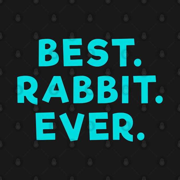 best rabbit ever Light Blue by Dolta