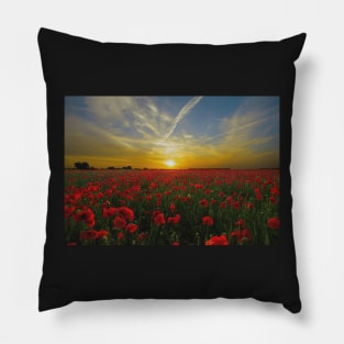 ANZAC Day Field Poppies Pillow
