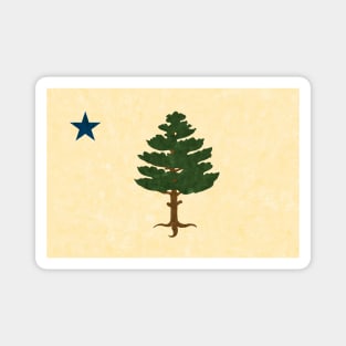 Maine Flag 1901 Magnet