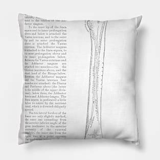 Antique Anatomy Papers Neck Gator Thigh Bone Femur Anatomy Pillow