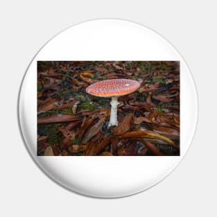 Fly agaric, Amanita muscaria Pin