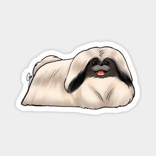 Dog - Pekingese - Black and White Show Cut Magnet