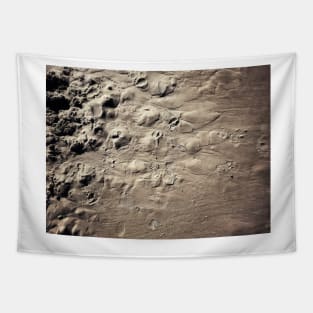 Sand Pattern Tapestry