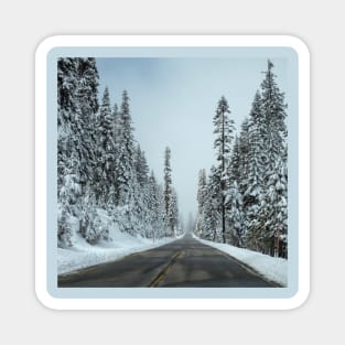 White winter scenery Magnet