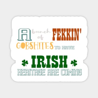 St Patrick's Day Funny Irish Curse Words Insults Slang Humor Magnet