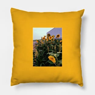 Vintage Sunflowers Pillow