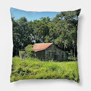 Swamp house Pillow