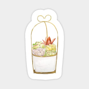 botanical succulent in a golden rack watercolor 2 Magnet