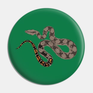 Boa Constrictor Pin