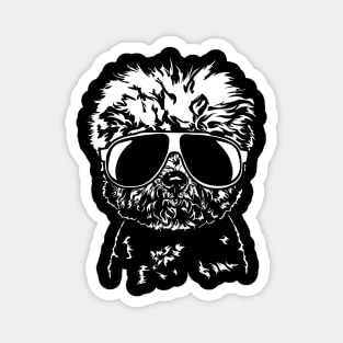 Bichon Frise sunglasses cool dog Magnet