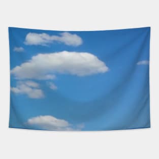 Blue Skies Tapestry