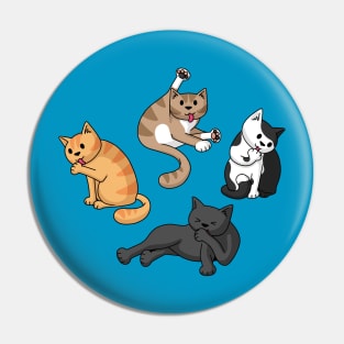 Four Cats Washing Pin