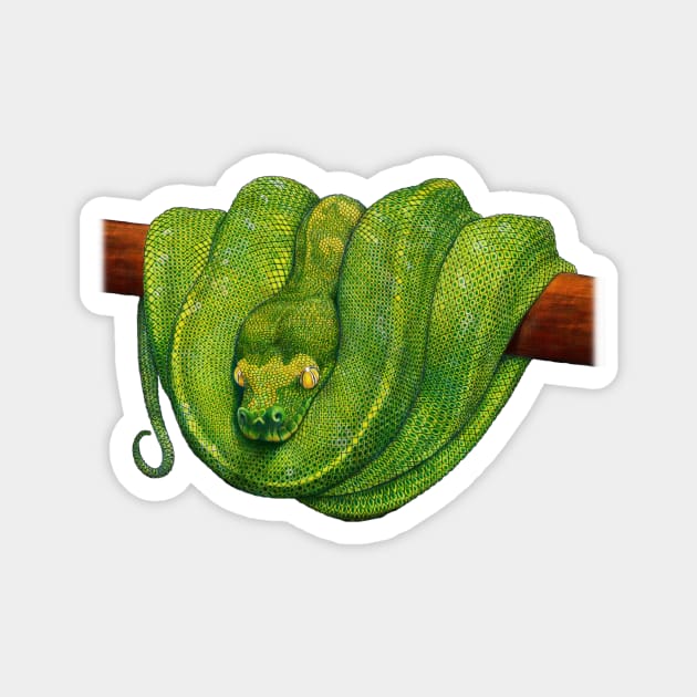 Green Tree Python Magnet by Tim Jeffs Art