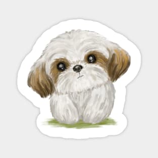 Cute Shih Tzu Magnet