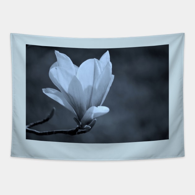 Magnolia Tapestry by LaurieMinor