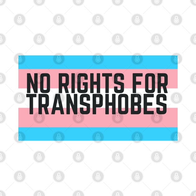 NO RIGHTS FOR TRANSPHOBES by goblinbabe