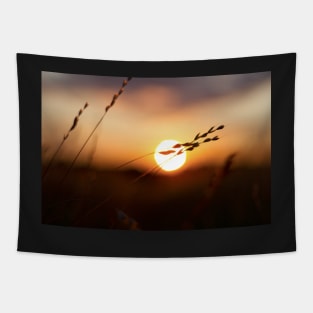 Sunset on a Summer meadow Tapestry